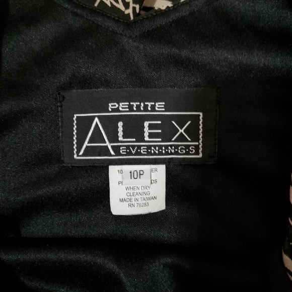 Vintage Petite Alex Evenings Paisley Dress 10P - Picture 4 of 5